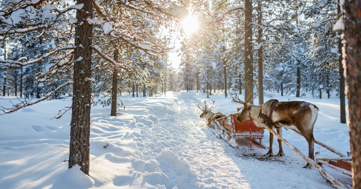 December - Dinner on a Frozen Lake in Lapland