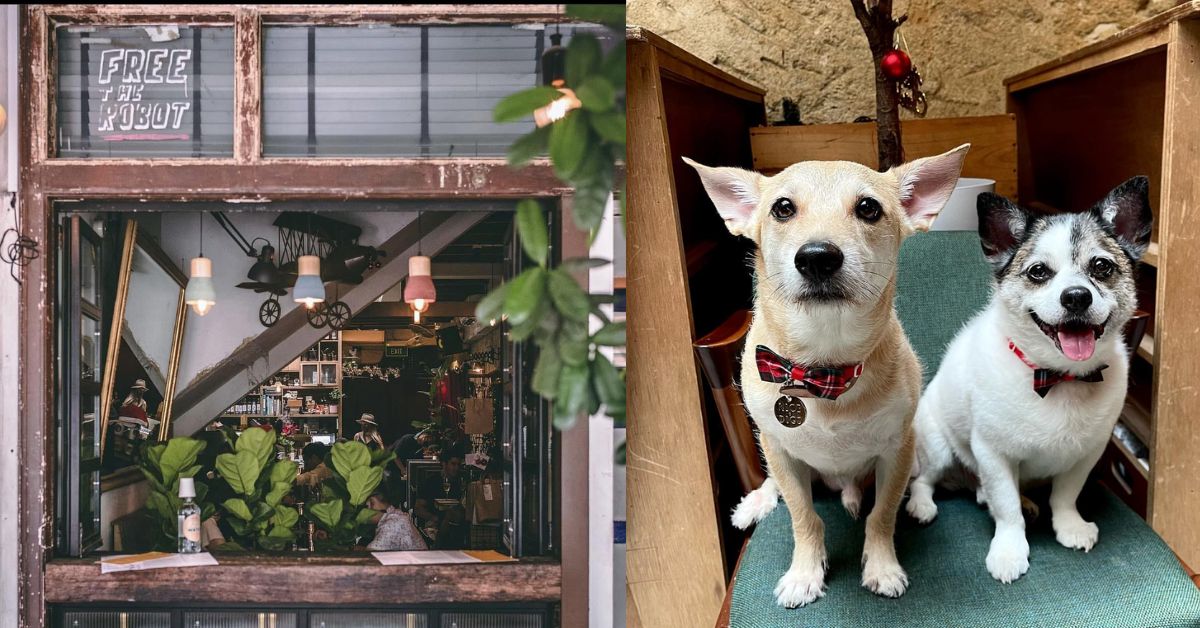 Free The Robot - Quirky Pet-Friendly Café At Telok Ayer