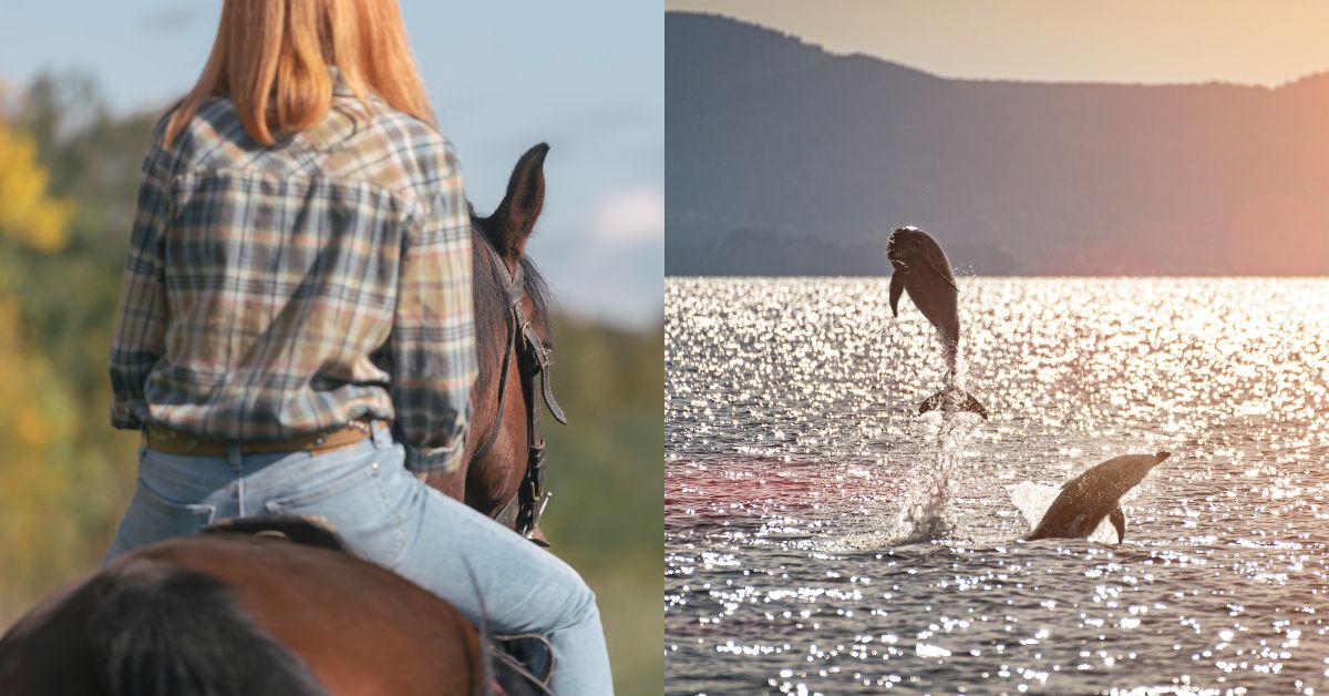 March - Horseback Riding and A Private Catamaran Voyage in Costa Rica