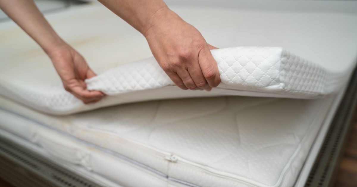 Sea Horse - Inexpensive Foam Mattresses in Multiple Sizes