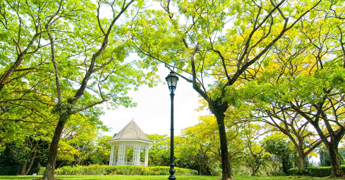 singapore botanic gardens