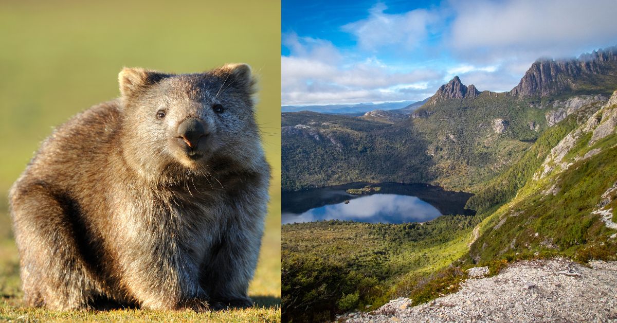 Take on Legendary Walks at Cradle Mountain, Tasmania