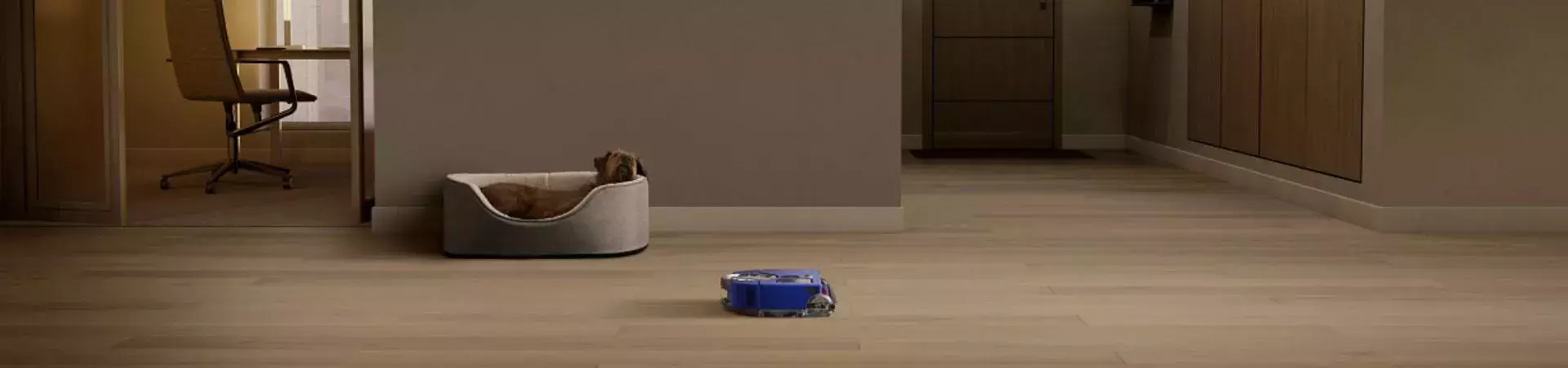 dyson robot vacuum singapore